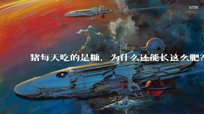 猪每天吃的是糠，为什么还能长这么肥？