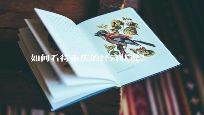 如何看待重庆的经济状况？