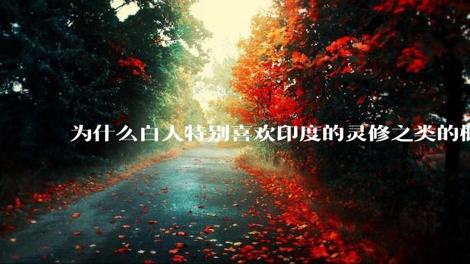 为什么白人特别喜欢印度的灵修之类的概念？