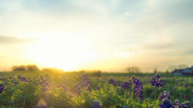 ***前老百姓为什么不撤？